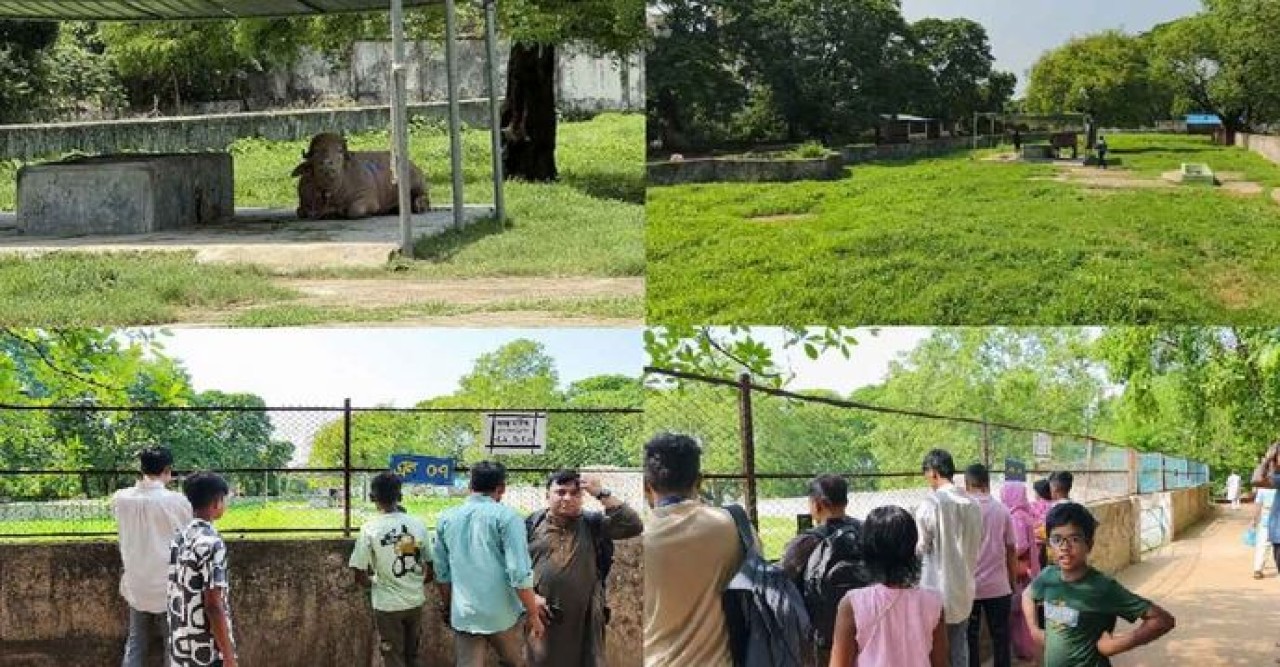 ‘ডোনাল্ড ট্রাম্প’কে দেখতে চিড়িয়াখানায় দর্শনার্থীদের ভিড়