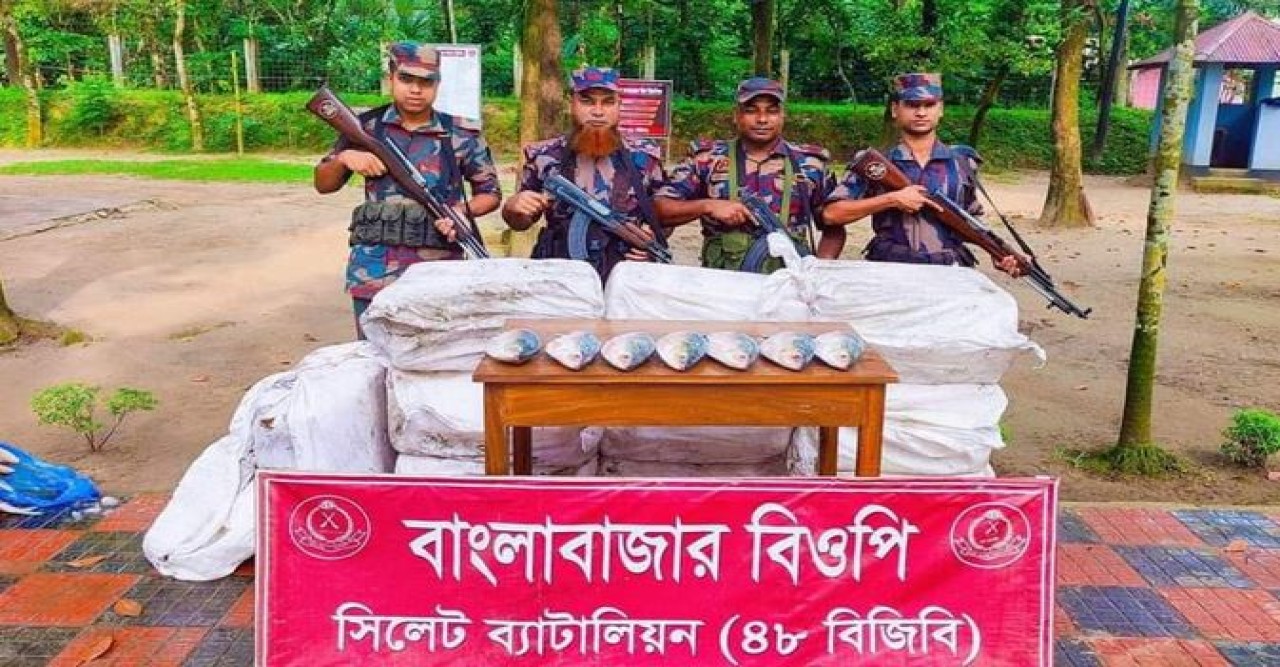 ভারতে পাচারের সময় ৫ লাখ টাকার ইলিশ জব্দ