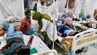 ডেঙ্গু কেড়ে নিল আরো ৭ প্রাণ