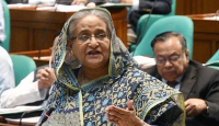মুক্তিযুদ্ধে গণহত্যার আন্তর্জাতিক স্বীকৃতির প্রচেষ্টা চলছে