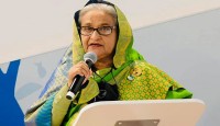 বিএনপি নির্বাচন নয়, দেশে অস্বাভাবিক পরিস্থিতি চায়