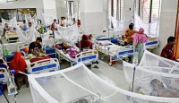 ডেঙ্গু কেড়ে নিল আরো ৮ প্রাণ